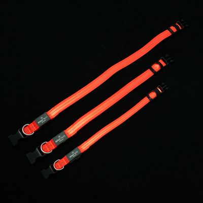Trois colliers pour chien HOUND TALES orange fluo avec boucle en plastique noir et anneau métallique, présentés côte à côte pour comparaison de tailles.