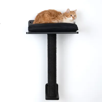 Tiragraffi da parete con colonna in sisal nero e superficie imbottita. Gatto rosso sdraiato sulla superficie.