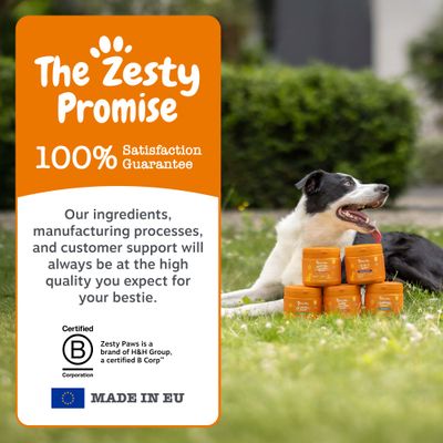 The Zesty Promise: 100% tilfredshedsgaranti. Ingredienser, produktionsprocesser og kundeservice altid i høj kvalitet. Certificeret B Corporation. FREMSTILLET I EU.