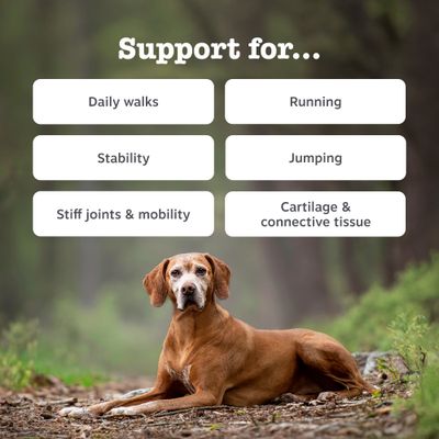 Zesty Paws Hip & Joint Chews pulyka