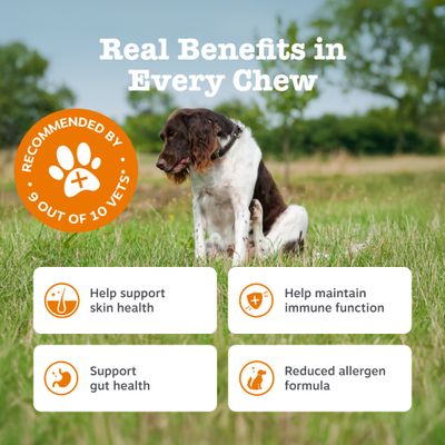 Zesty Paws Senior Aller-Immune Chews s lososem