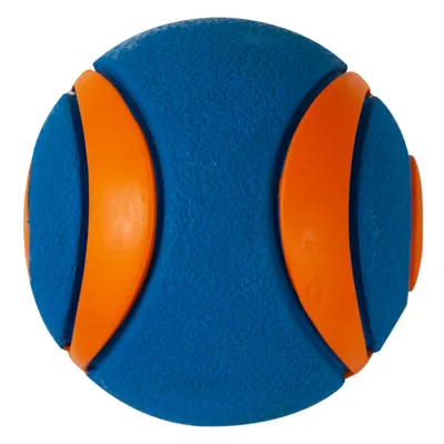 Chuckit! Palla gioco Ultra Squeaker  - M: Ø 6,4 cm