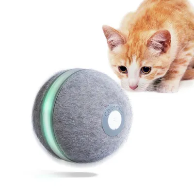 Cheerble interaktiver Spielball mit grauer Filzoberfläche und LED-Leuchtstreifen, neben einer neugierigen orange-weissen Katze.