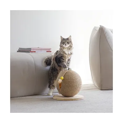 Cat toy: sisal ball on wooden base with yellow ball and feather. Cat interacting with the toy.