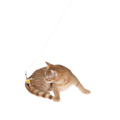 Zabawka z żółtą zawieszką w kształcie ptaka na sznurku, prezentowana przez rudobrązowego kota.