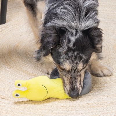 Chien à poil long tacheté jouant avec un jouet en peluche jaune en forme d’animal souriant, posé sur un tapis clair. Aucun texte ou marque visible.
