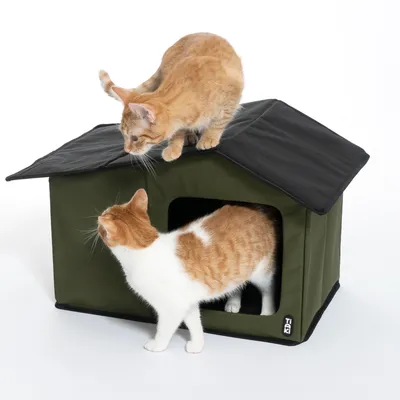 Due gatti giocano su e dentro una casetta in tessuto verde con tetto nero. Logo visibile: Trixie.
