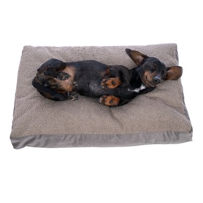 Cane sdraiato rilassato su un letto per cani grigio e morbido con rivestimento in peluche.