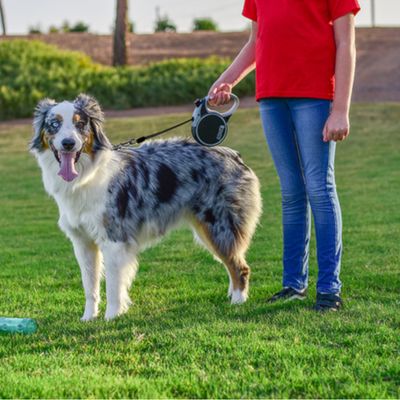 KONG Terrain uttrekkbart bånd svart