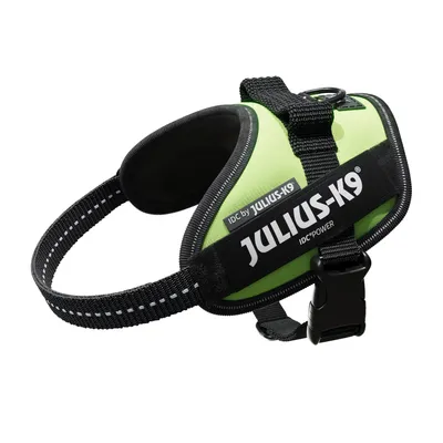 Julius-K9 IDC-Power Hundegeschirr in Grün mit schwarzem Gurt und reflektierenden Nähten, robustes Design mit Klickverschluss und Metallring.