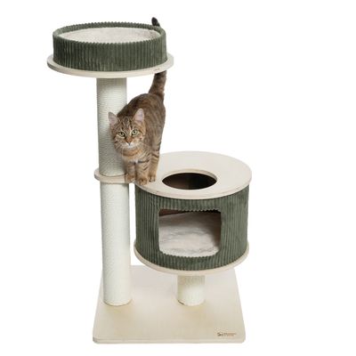 Tiragraffi a due livelli con rivestimento in tessuto verde e colonne in sisal. Grotta integrata con apertura e superficie imbottita. Gatto sul livello inferiore.
