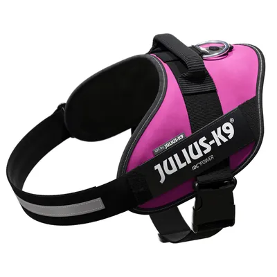 Julius-K9 IDC Power Hundegeschirr in Pink mit schwarzem Gurt und reflektierenden Elementen, robustes Design mit Metallring und Klickverschluss. Julius-K9 IDC Power Hundegeschirr in Pink mit schwarzem Gurt und reflektierenden Elementen, robustes Design mit Metallring und Klickverschluss.