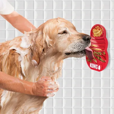 Câine care este spălat și linge hrană de pe un KONG-Lickmat roșu, fixat pe un perete placat cu faianță.