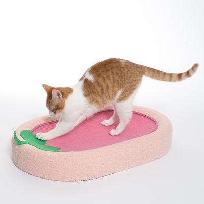 Kattklösare i rosa och grönt, med en katt som klöser på den. Visar användning av klösleksak.