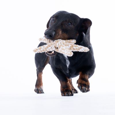 Giocattolo a forma di stella marina in corda intrecciata, beige e bianco.