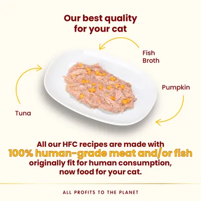 Almo Nature HFC Complete 6 x 70g - cat wet food - Tuna with Pumpkin