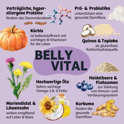 BELLY VITAL mit verträglichen Proteinen, Prä- und Probiotika, Kürbis, Quinoa & Tapioka, Mariendistel & Löwenzahn, hochwertigen Ölen, Heidelbeere & Flohsamen, Kurkuma.