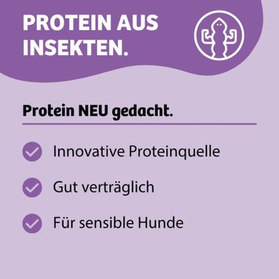 Protein aus Insekten. Protein NEU gedacht: Innovative Proteinquelle, gut verträglich, für sensible Hunde.