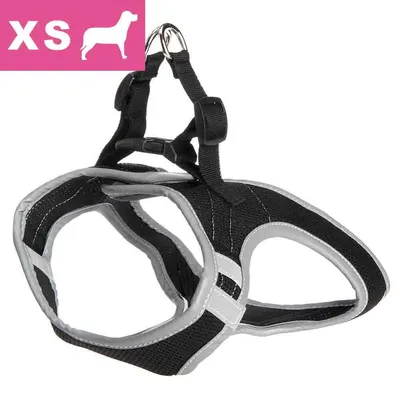 Szelki dla psa, rozmiar XS widoczny w lewym górnym rogu. Czarny materiał z szarymi obszyciami i metalowym kółkiem do przypięcia smyczy.