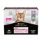 PURINA PRO PLAN Cat Adult Delicate Digestion 10 x 85 g Truthahn und Hochseefisch