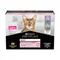 PURINA PRO PLAN Cat Adult Delicate Digestion 10 x 85 g Puretina i morska riba