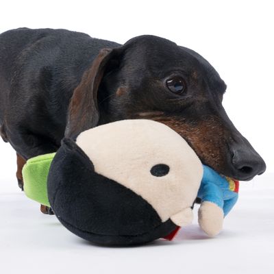 DC Comics Superman Hundespielzeug – 30,5 Cm Großer Plüsch Mit Quietscher Für Große & Kleine Hunde