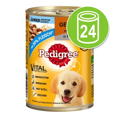 Blik Pedigree hondenvoer Junior, met 59% vlees, Vital Protection: immuunsysteem, vertering, huid & vacht, botten. Afbeelding toont verpakking en symbool voor 24 stuks.