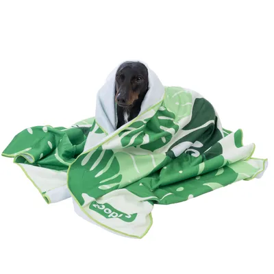 Cão envolto em manta verde com padrão de folhas e logótipo Zooplus. Cão envolto em manta verde com padrão de folhas e logótipo Zooplus.