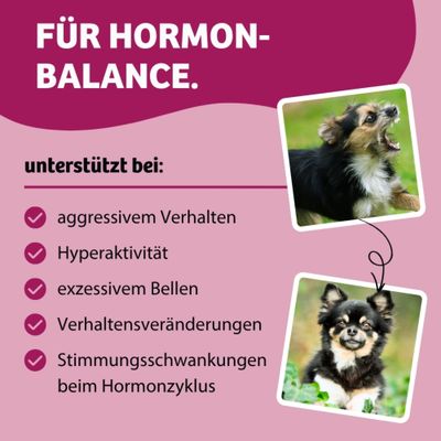 Für Hormonbalance. Unterstützt bei aggressivem Verhalten, Hyperaktivität, exzessivem Bellen, Verhaltensveränderungen, Stimmungsschwankungen beim Hormonzyklus.