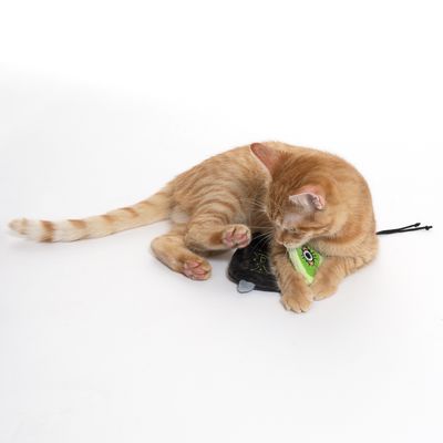 Röd katt leker med en svart katt­leksak med grönt öga och snöre.