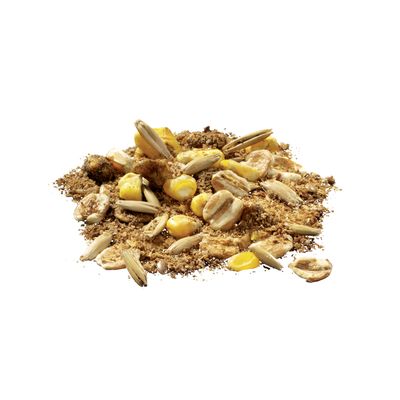 Miscela di fiocchi di cereali, pezzi di mais e semi di girasole. Ingredienti visibili per mangime per animali.