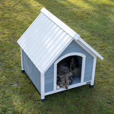 Casinha de cão cinzenta com telhado branco, cão deitado no interior sobre relvado verde.