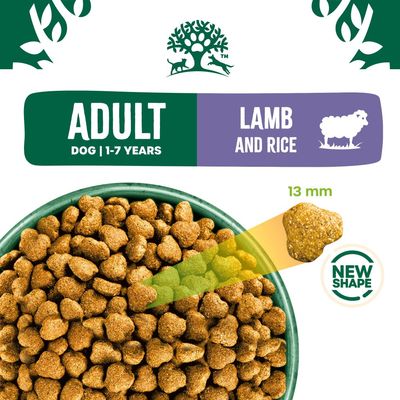 ADULT DOG 1-7 YEARS, LAMB AND RICE, kibble shape 13 mm, NEW SHAPE. Image of a bowl with dry food and highlighted kibble.