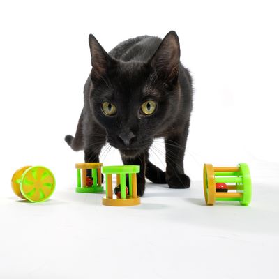 Чёрная кошка играет с разноцветными пластиковыми игрушечными роликами с маленькими красными шариками внутри.