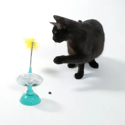 Gatto nero che gioca con un gioco interattivo con piuma gialla e ventosa su sfondo bianco.