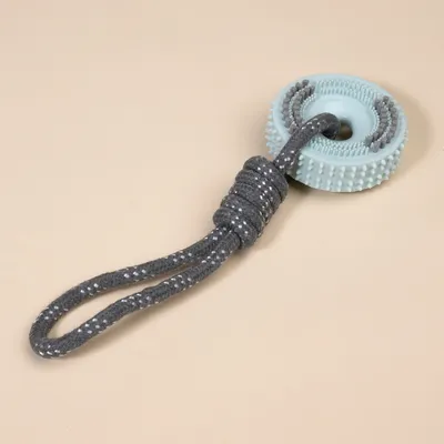 Rundes Spielzeug mit hellblauem Gummiring mit Noppen und grauer Kordelschlaufe, geeignet zum Ziehen oder Werfen.