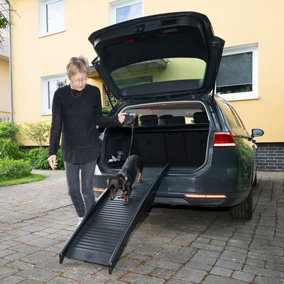 Hond loopt over een zwarte kunststof oprijplaat naar de kofferbak van een auto. Open kofferbak en oprijplaat zichtbaar.