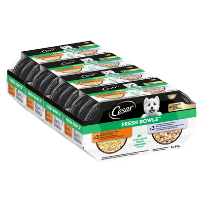 Cesar Fresh Bowls - Курица и утка в соусе, 24 x 85 г 