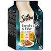 Sheba Délices du Jour 72 x 50 g Umido per gatti Pollo, Salmone, Tacchino in salsa