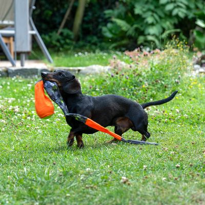 TIAKI Hundespielzeug Wurfball mit Fangschwanz