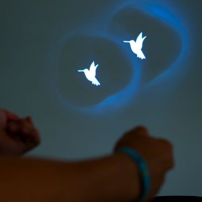 zooplus Basics Pointeur LED pour chat