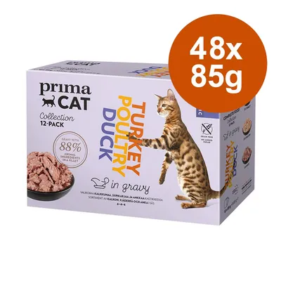 PrimaCat Collection 12-pack, tacchino, pollame, anatra in salsa, 48x85g. Con 88% di ingredienti animali nel filetto, senza cereali, senza zucchero.