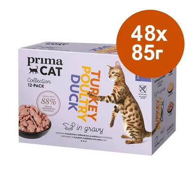 Кутия primaCAT Collection 12-PACK, Turkey Poultry Duck in gravy, 48x85 г. Видими: снимка на хапки в сос, котка, надпис 'Gravy with 88% animal ingredients in a filet'.
