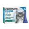 Frontline® Spot On pour chats 6 pipettes x 0,5 ml