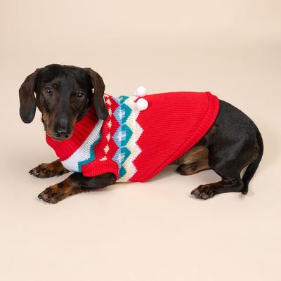 Dog wearing red jumper with colourful zigzag pattern and white pompoms. Product shows dog clothing for cold days.