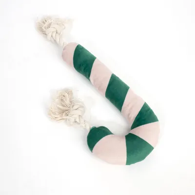 Spielzeug in Form eines grünen und weißen Stoffseils mit Knoten an beiden Enden.