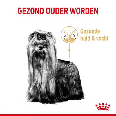 Tekst: Gezond ouder worden. Illustratie van hond met icoon en tekst: Gezonde huid & vacht. Royal Canin kroon symbool rechtsonder.