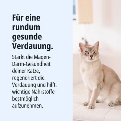 Für eine rundum gesunde Verdauung. Stärkt die Magen-Darm-Gesundheit deiner Katze, regeneriert die Verdauung und hilft, wichtige Nährstoffe bestmöglich aufzunehmen.