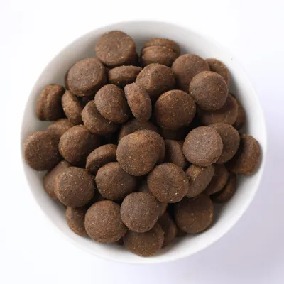 Ciotola con crocchette marroni e rotonde. Immagine del prodotto per mostrare la forma e la taglia delle crocchette.
