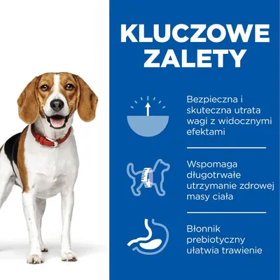Hill's Science Plan Adult 1+ Perfect Weight z kurczakiem i warzywami - 6 x 363 g